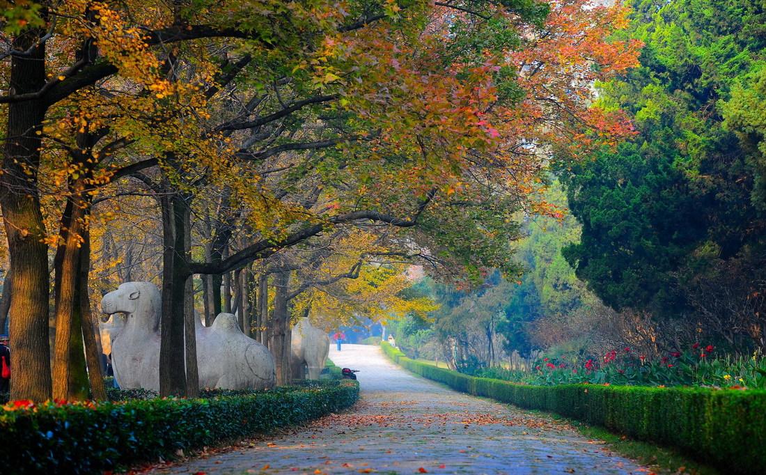 大隐于市的都市心灵花园-2