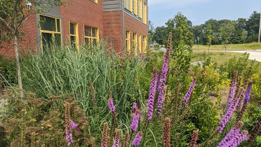SHAW ELEMENTARY SCHOOL - Dodson & Flinker - Landscape Architecture and Planning-8