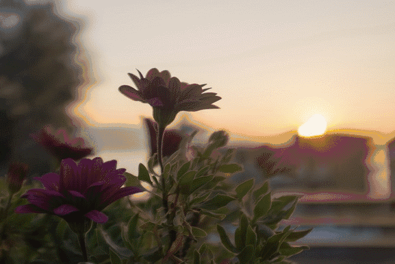 他爆改过的民宿，就像睡在云上的日子-48