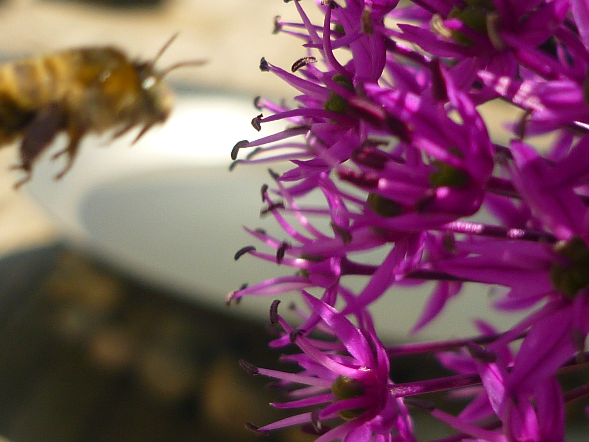 水边露台庄园丨Jörg Kaspari-6