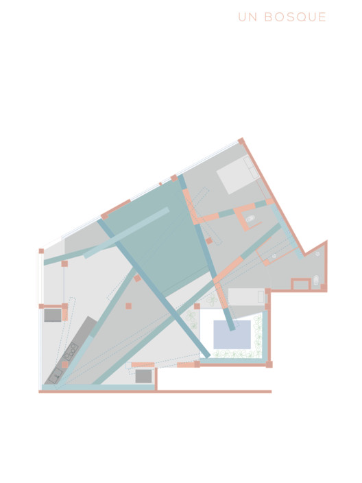 “树”的森林 | 历史中心公寓的重生-10