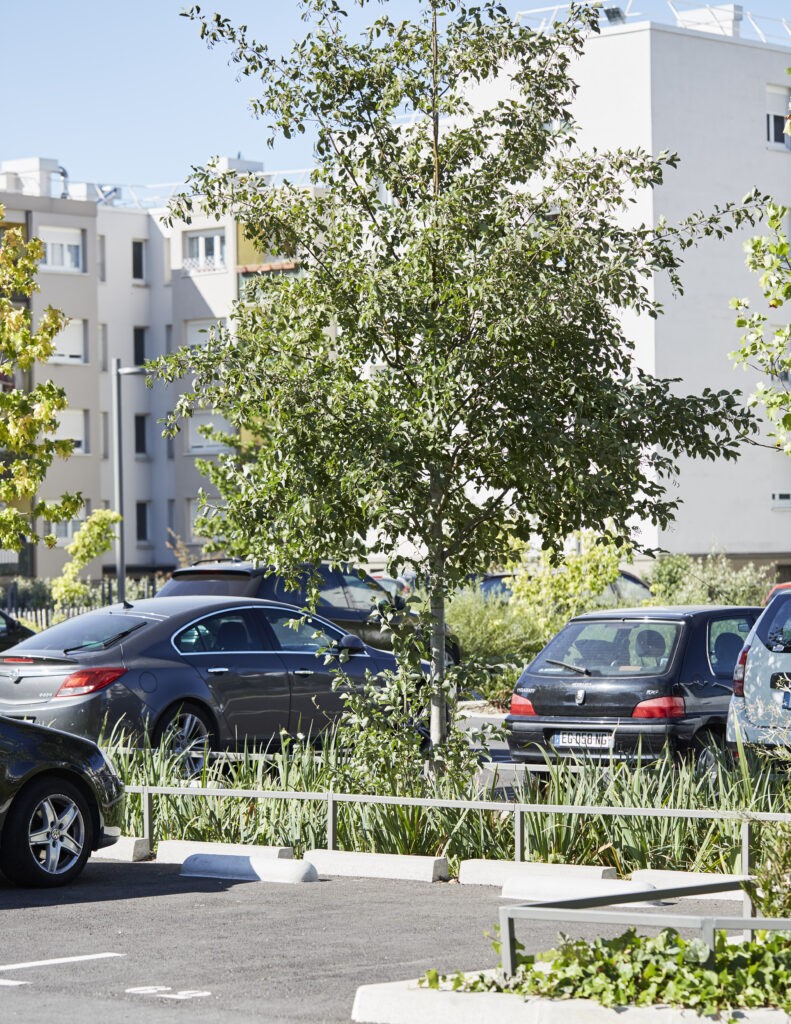 莱斯罗什自由空间公寓-25