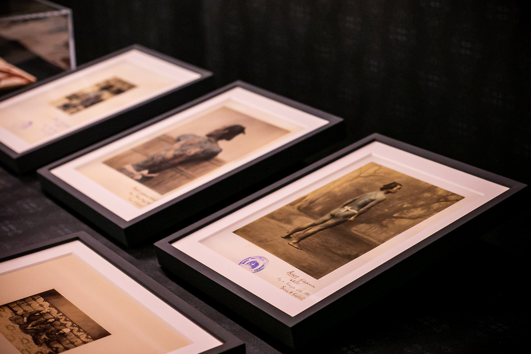 《刺青:皮肤上的故事》展陈设计-46