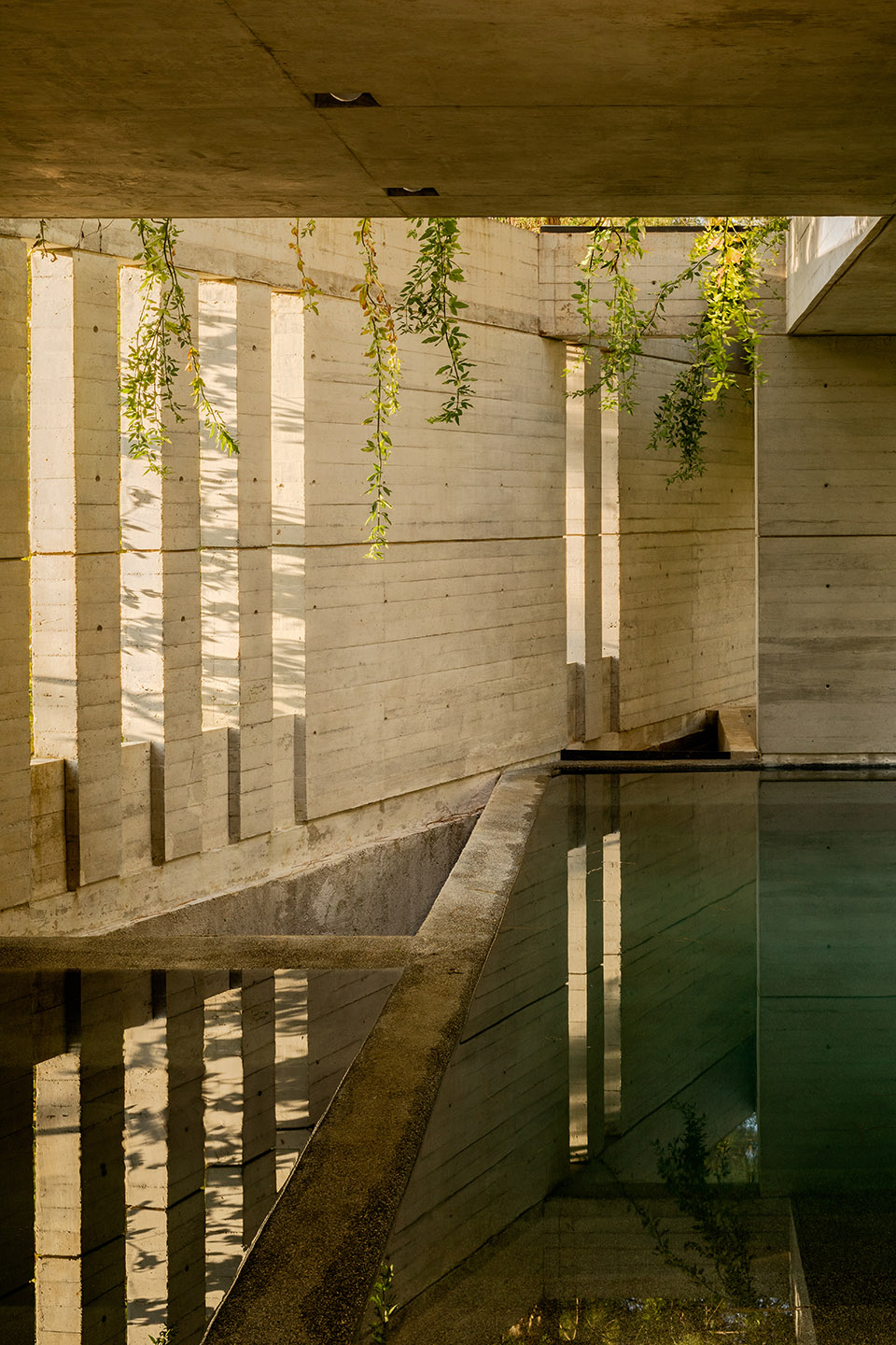 墨西哥 CRA 住宅丨Estudio MMX-16