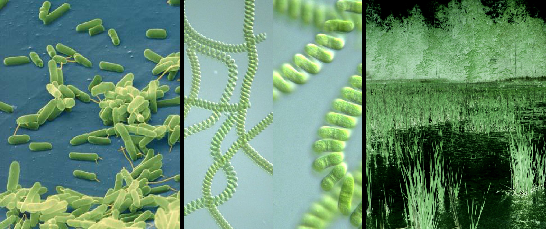 xAirport — Fletcher Studio-10