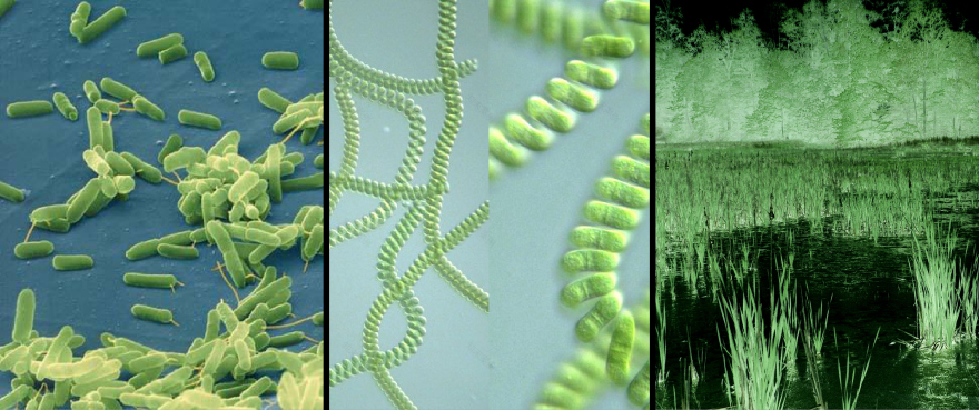 xAirport — Fletcher Studio-10