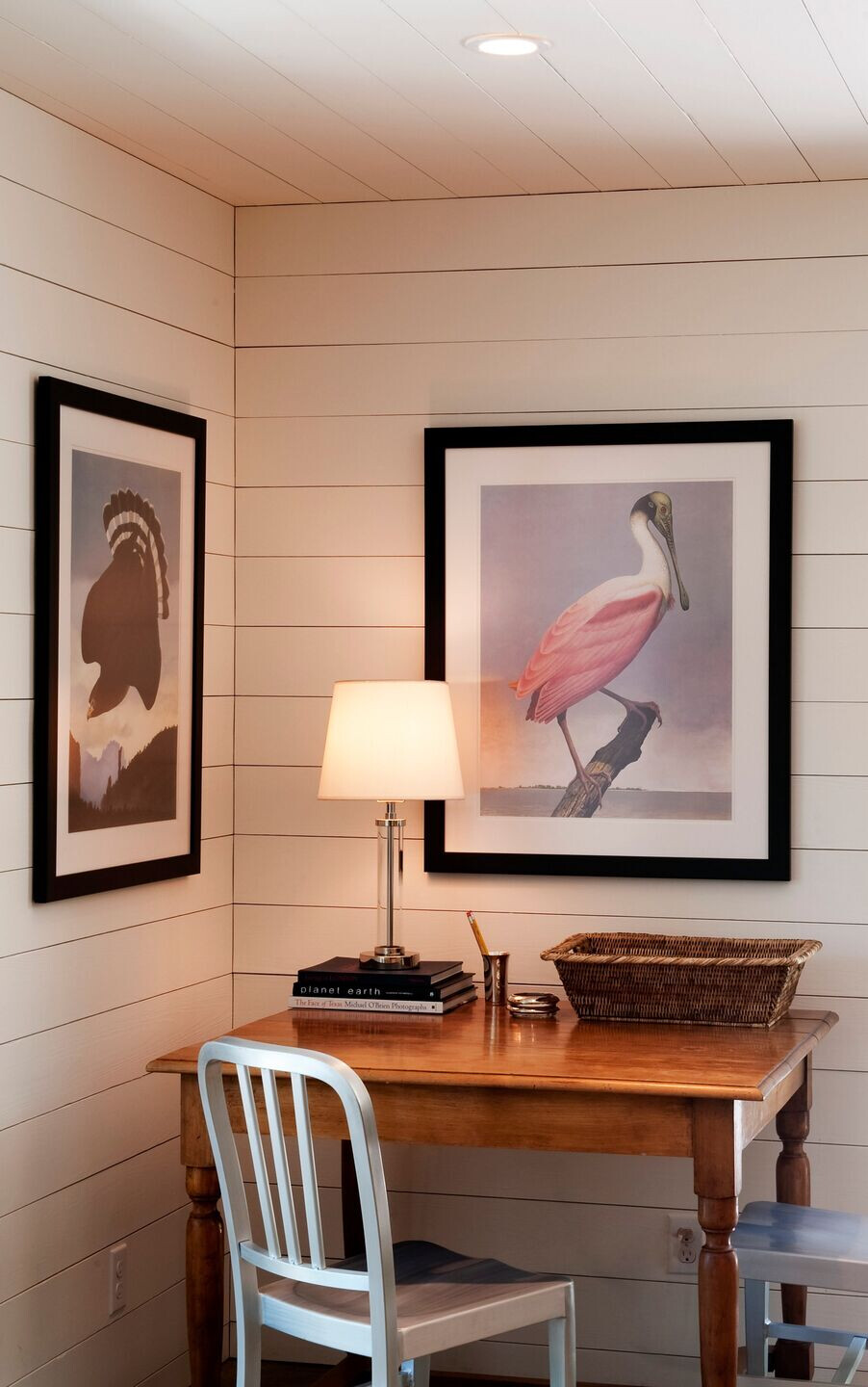 Shepherd 家庭住宅扩建-22