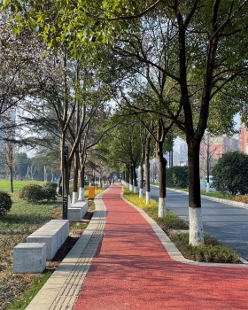 蜀龙大道，公园城市街道一体化改造践行丨中国成都丨元有（成都）规划设计有限公司
