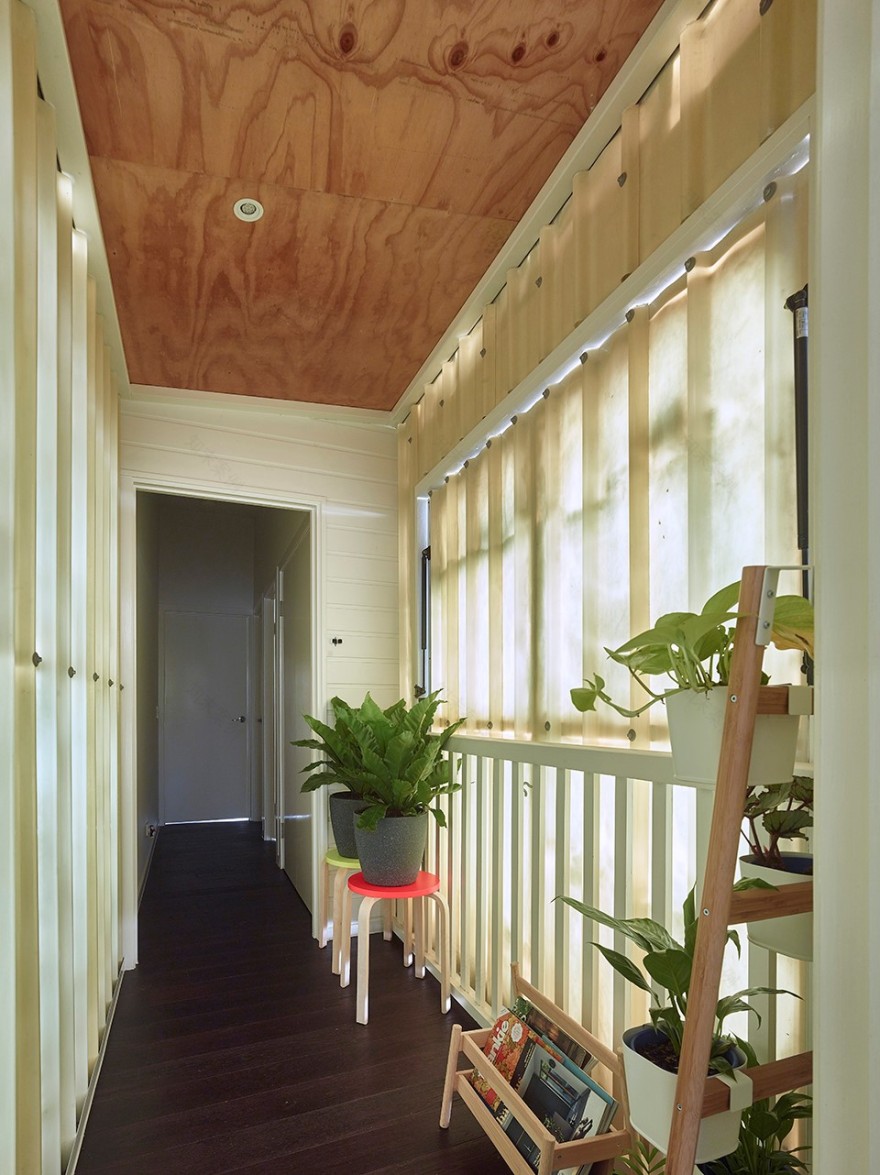 双体住宅,澳大利亚 / Toussaint and Volz-16