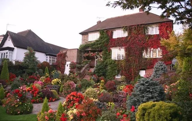 7旬夫妻用24年建绝美花园 全球花友慕名来“探花”-12