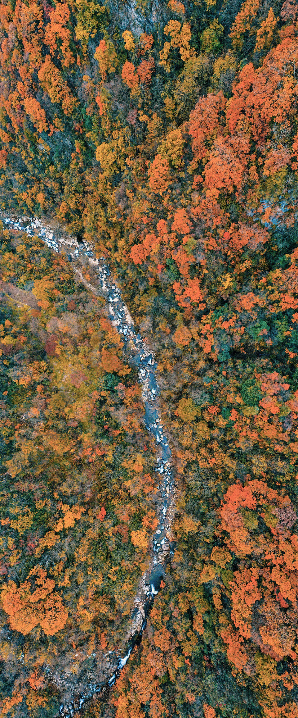 秦岭宿集 · 空山九帖书店·王维的寂寞,山果落餐厅丨中国汉中丨STUDIO QI 建筑事务所-81