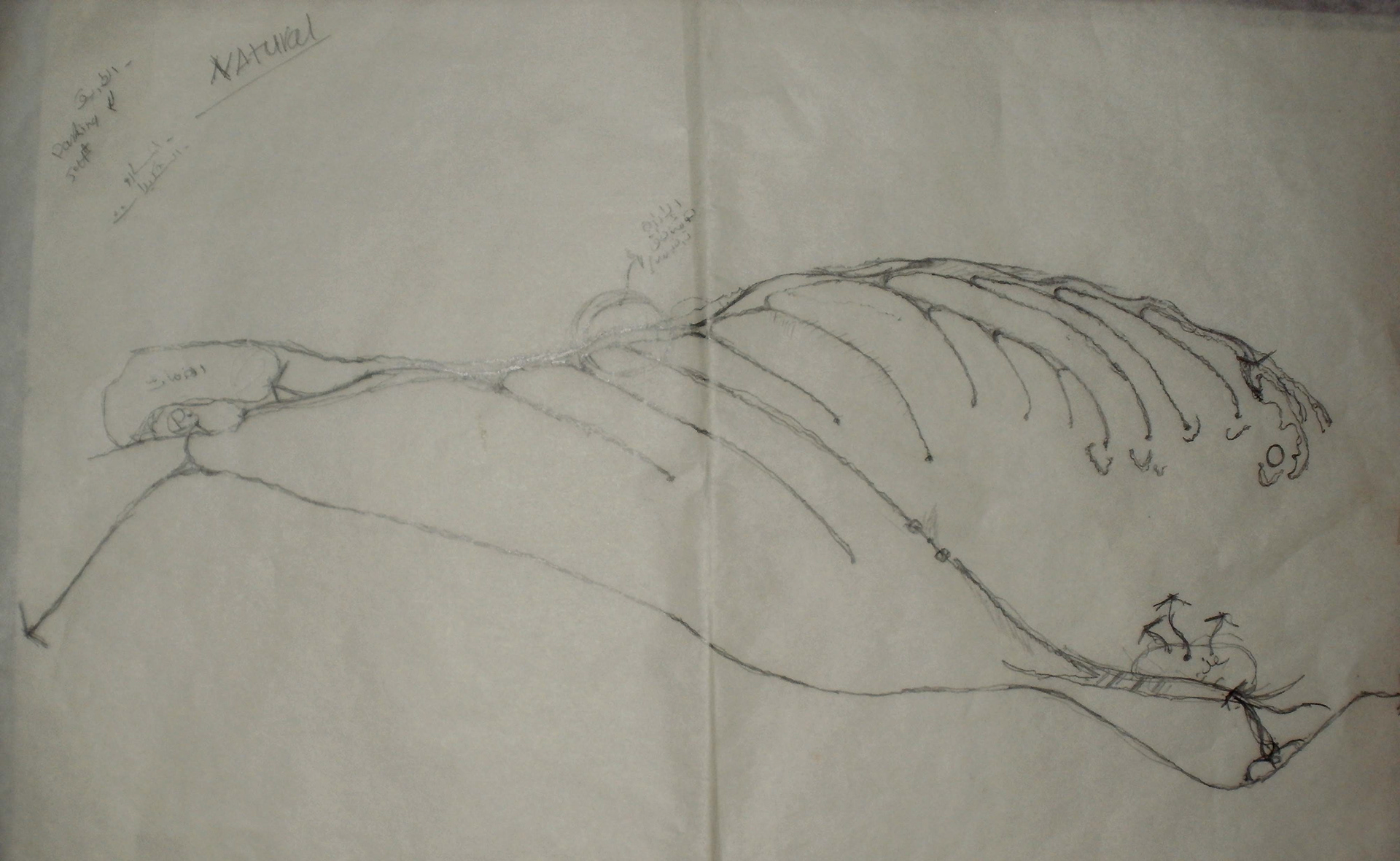 生态地平线度假村丨埃及丨开罗大学区域与城市规划学院城市设计系-17