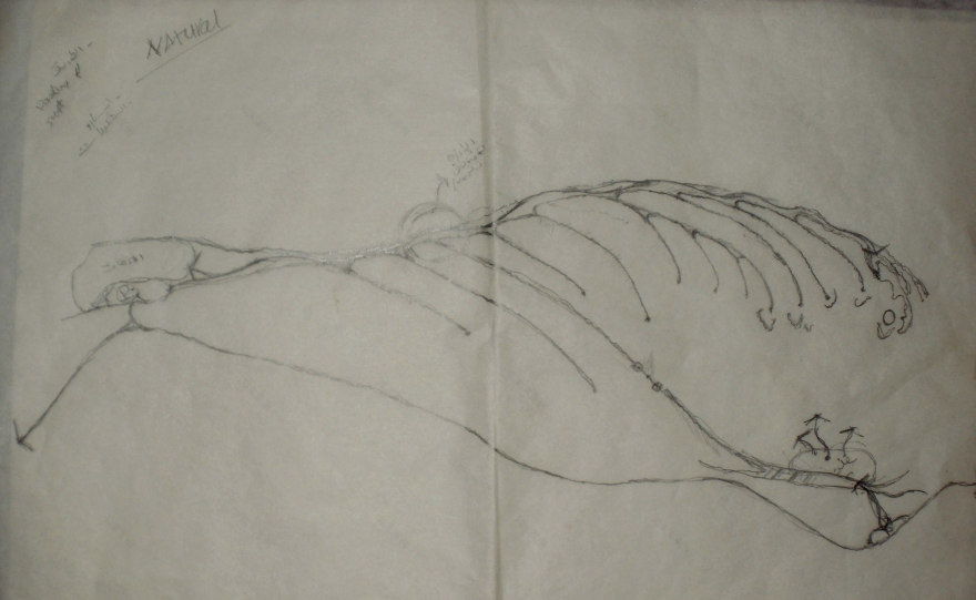 生态地平线度假村丨埃及丨开罗大学区域与城市规划学院城市设计系-17