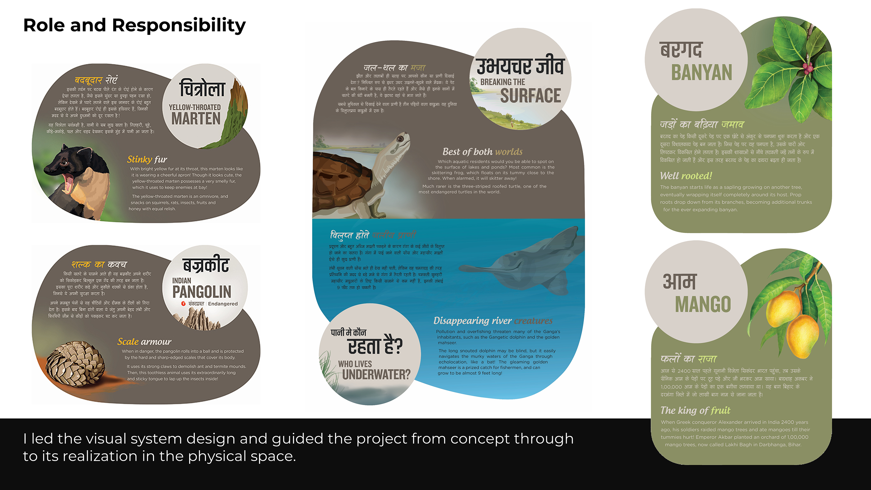 Bihar Museum Environmental & Museum Graphics System-3