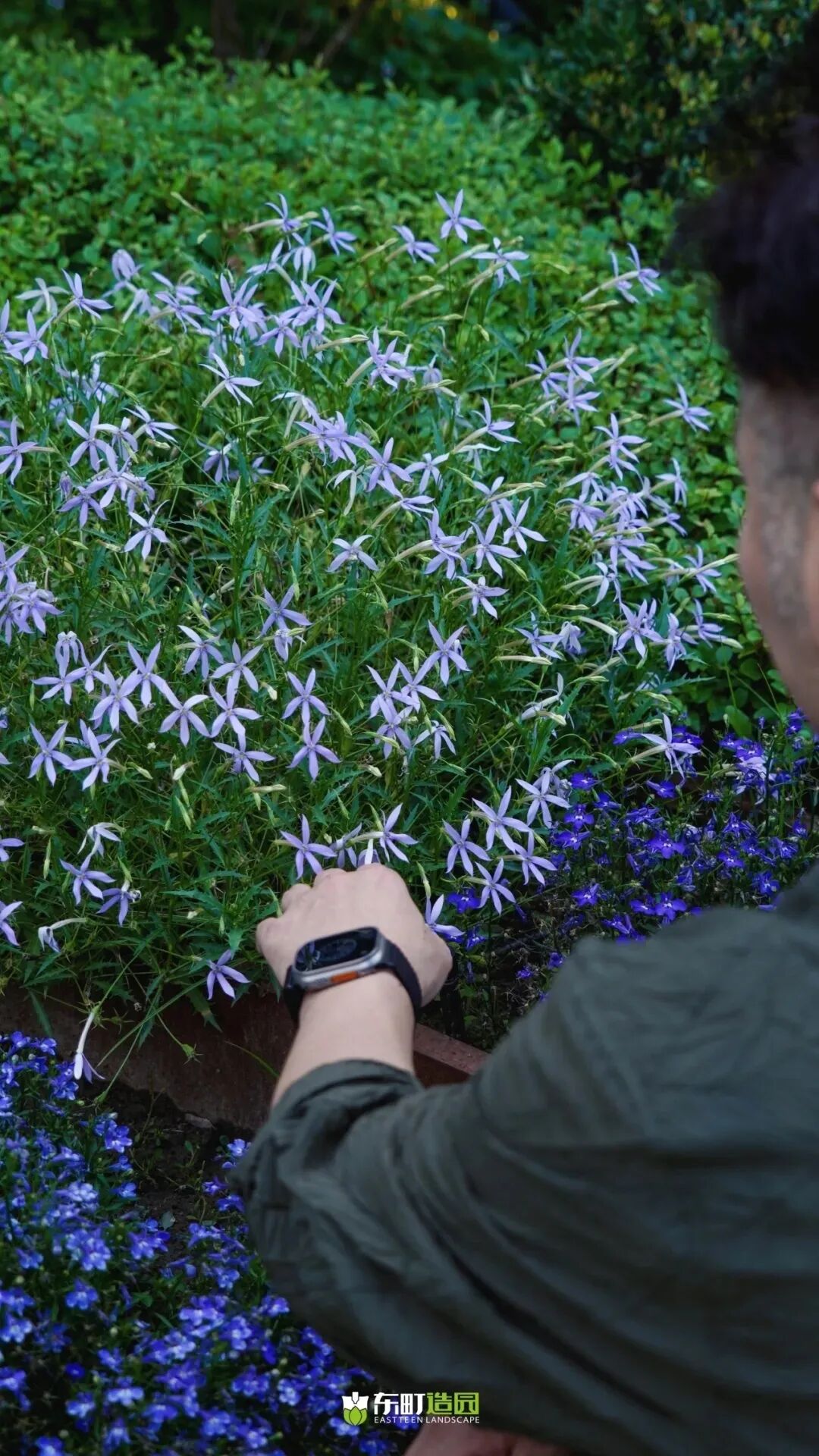 EASTTEEN LANDSCAPE系列庭院设计(含碧云诗境等5个)-98