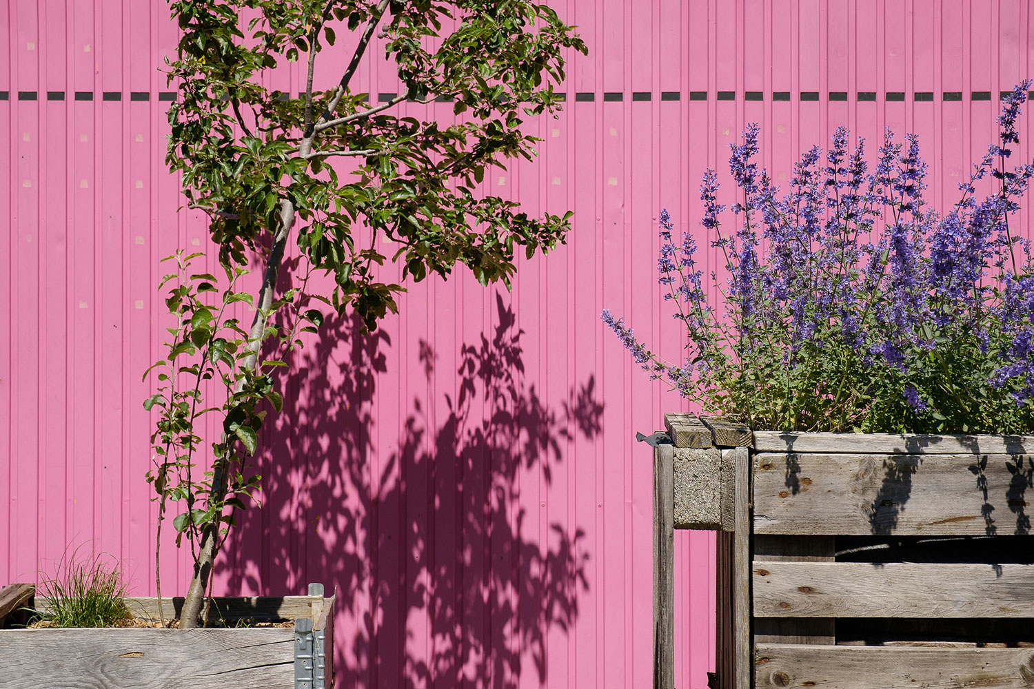 德国达姆施塔特户外空间重塑丨德国杜塞尔多夫-6