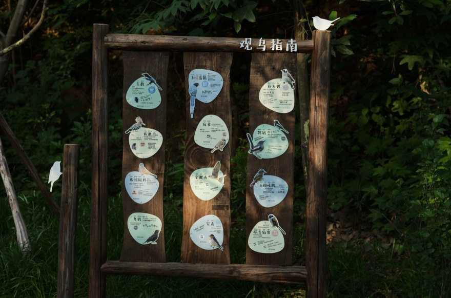 麓野公园丨中国成都丨四川乐道景观设计有限公司-155