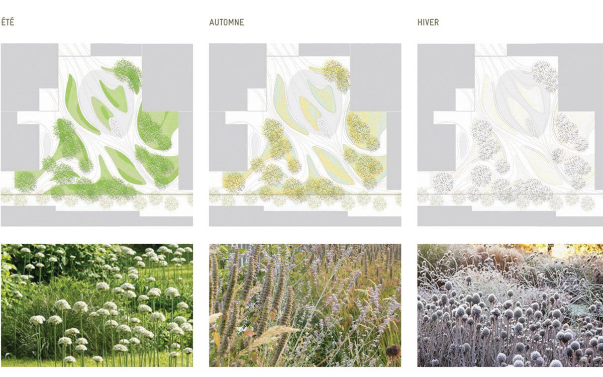 丨加拿大魁北克丨NIPPAYSAGE-26