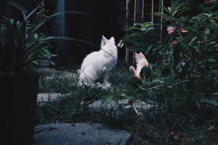 闲暇时光,品读八月的诗与远方-145