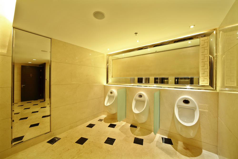 柳州丽苼酒店（少数豪华品位酒店）-0