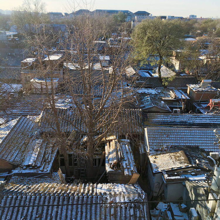 胡同里的生命实验室-73