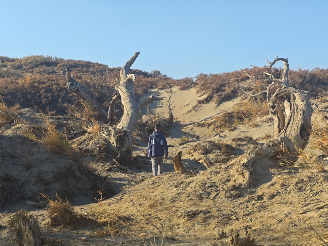 我的铁路风景|大漠长河间的铁路诗行-8