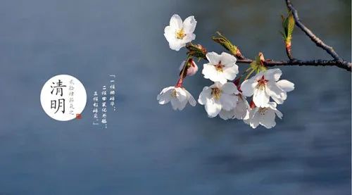 家的样子，你的样子-1