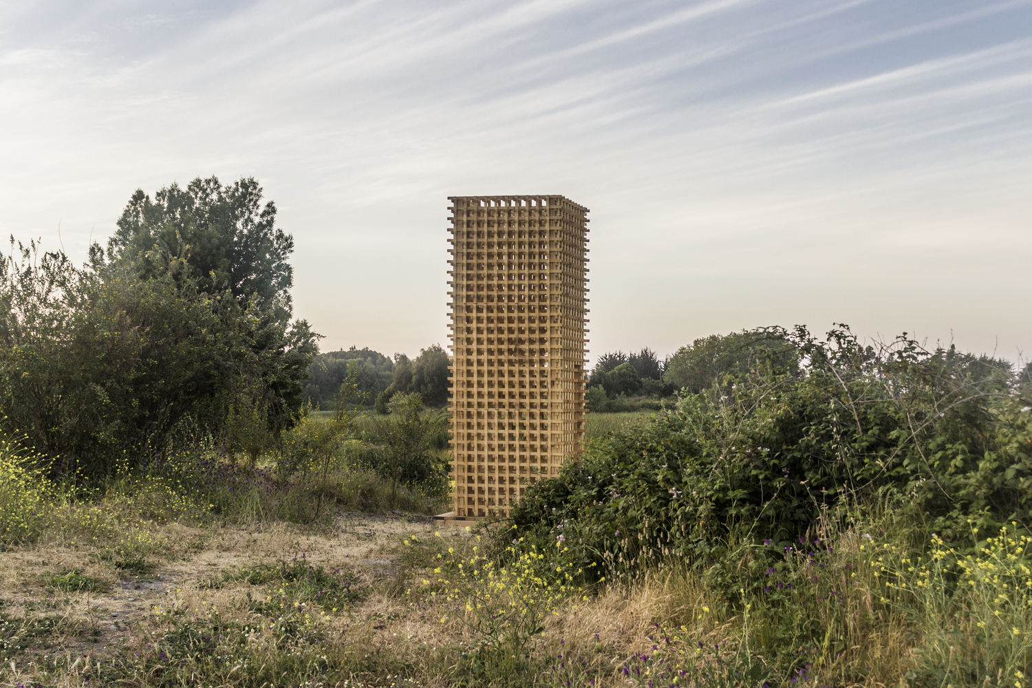 双塔与小径 · 智利废弃矿区的生态恢复之路-16