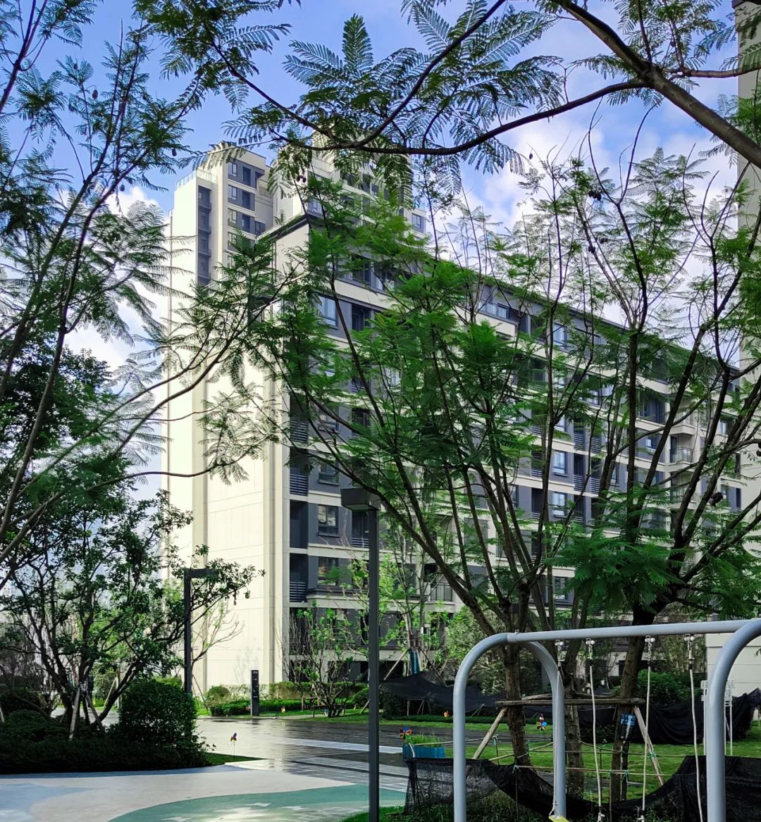 归心交付｜晓风澜庭一期交付，打开滨江都会生活之门-26