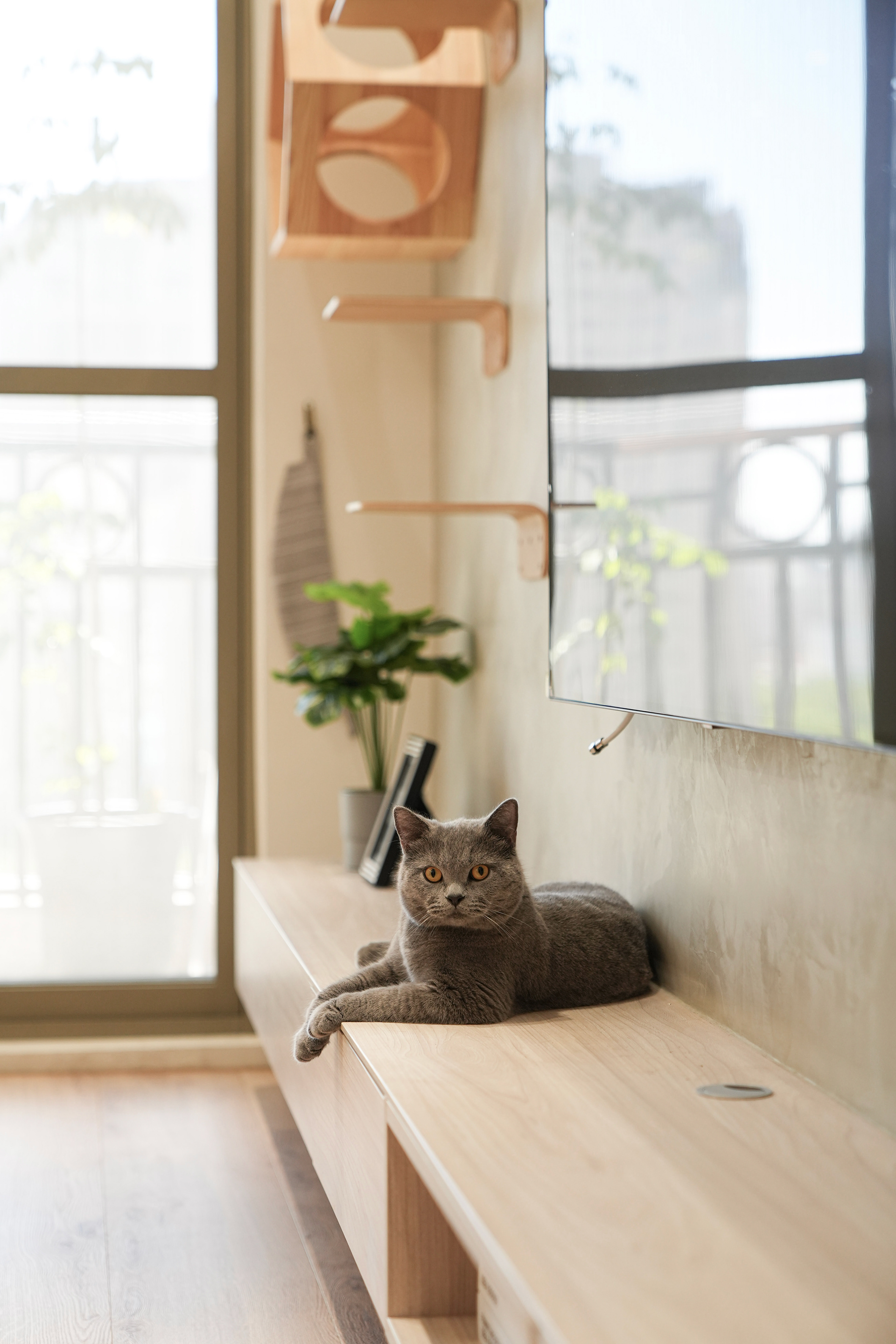 高雄詹宅室内设计及装潢工程丨中国高雄丨NONSTOP DESIGN-13