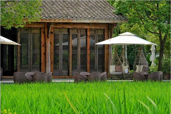 天府水岛林盘依田桃源丨中国成都丨梦景未来DDM-36