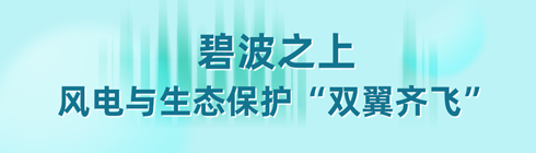 “碳”寻美好，给地球家园可持续的宠爱-2