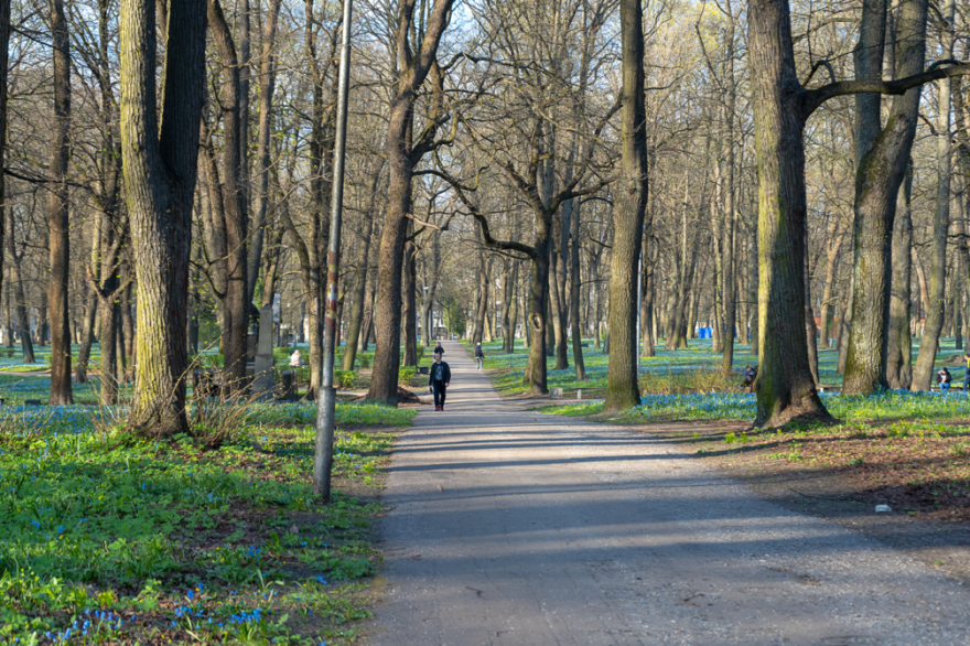 Izsludina metu konkursu Lielo kapu vērtību saglabāšanai ← FOLD-2
