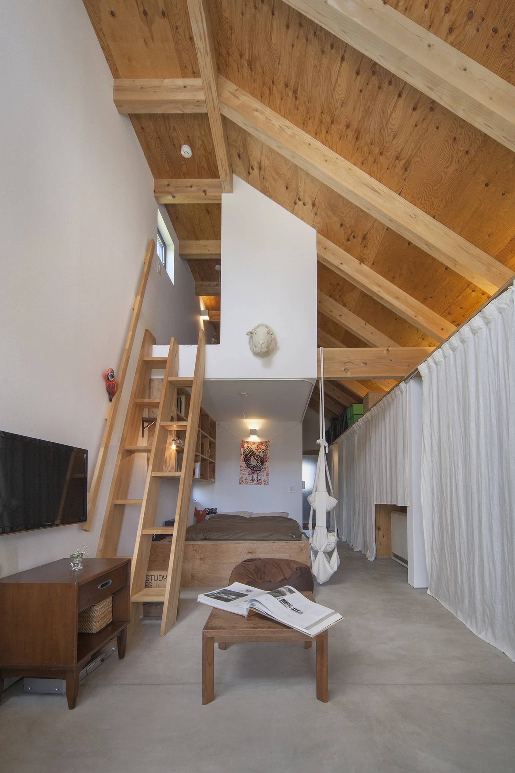 日本稻田中的“狗沙龙”住宅-21