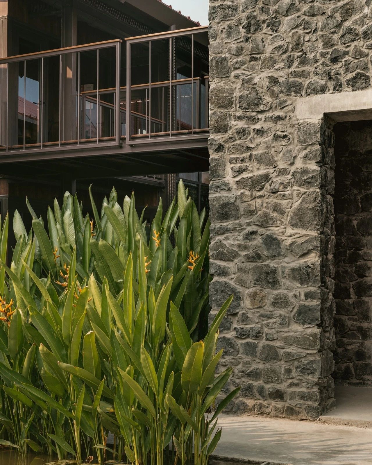 玛蒂别墅丨印度班加罗尔丨Studio 4A-96