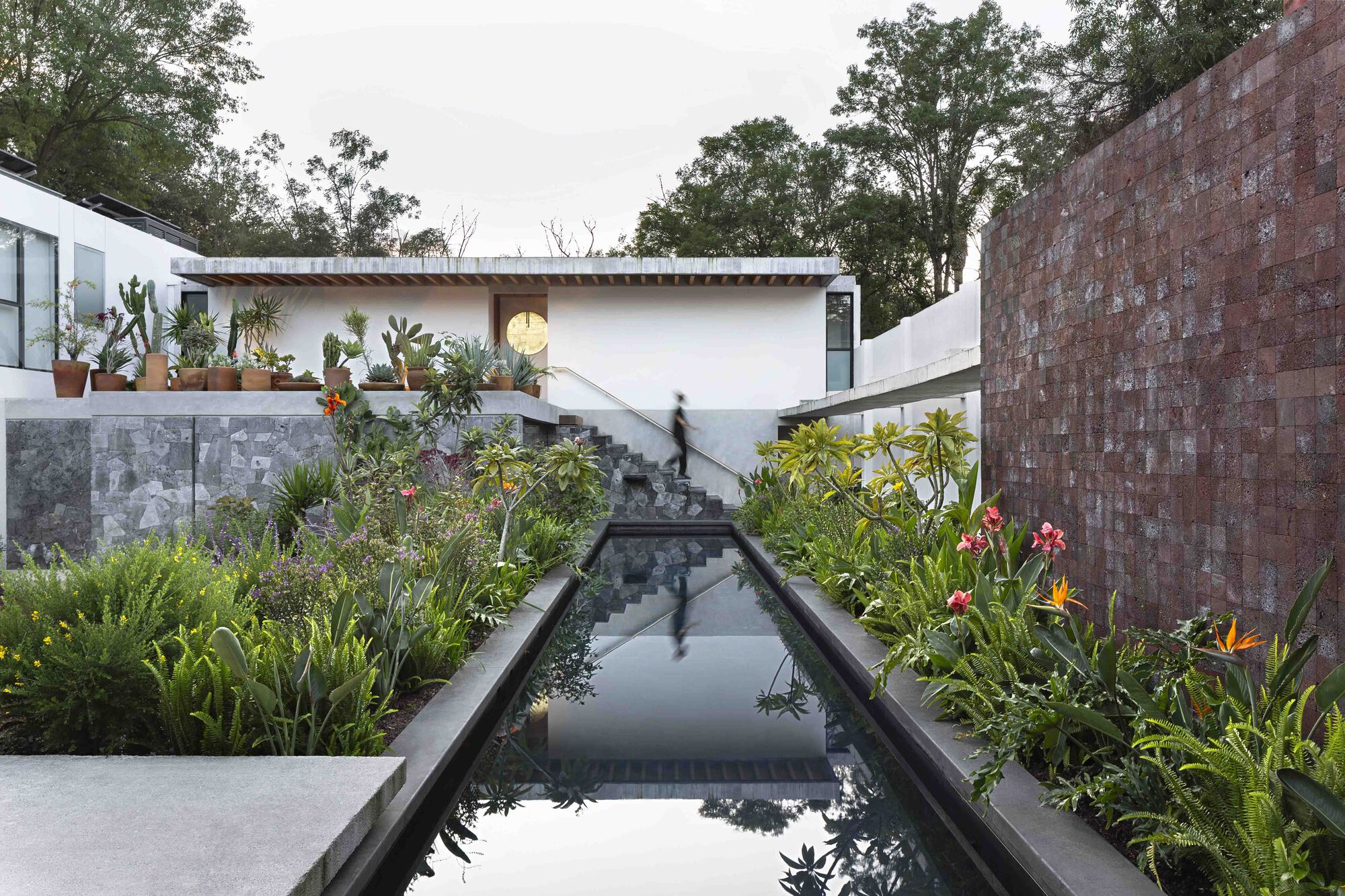 蜂鸟屋丨墨西哥墨西哥城丨Estudio Libre MX-27