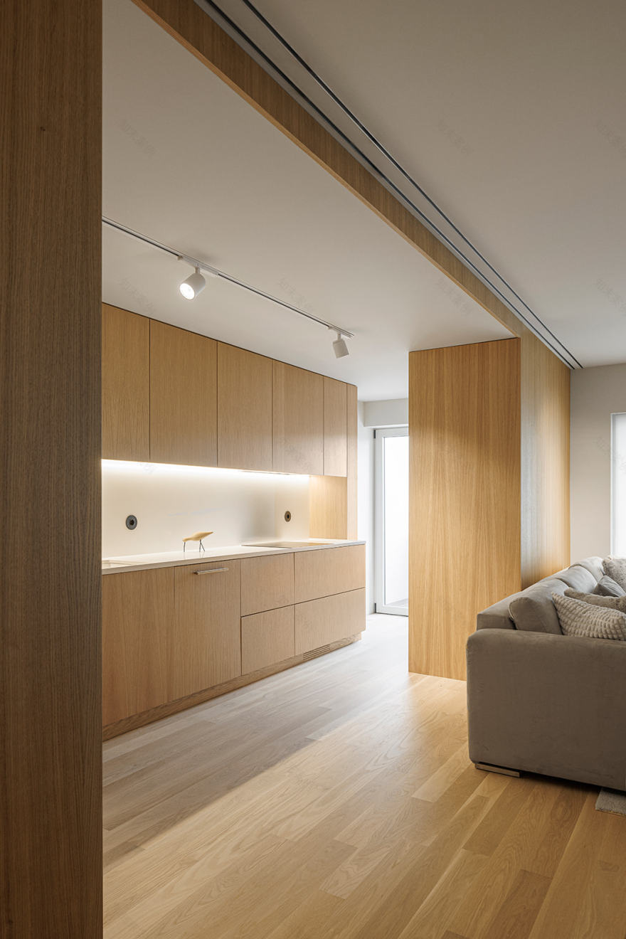 巴拉公寓丨葡萄牙丨Paulo Martins Arquitectura e Design-34