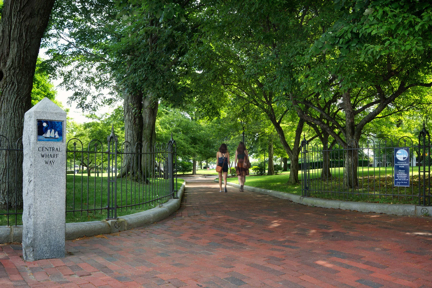 市场落地丨美国-21