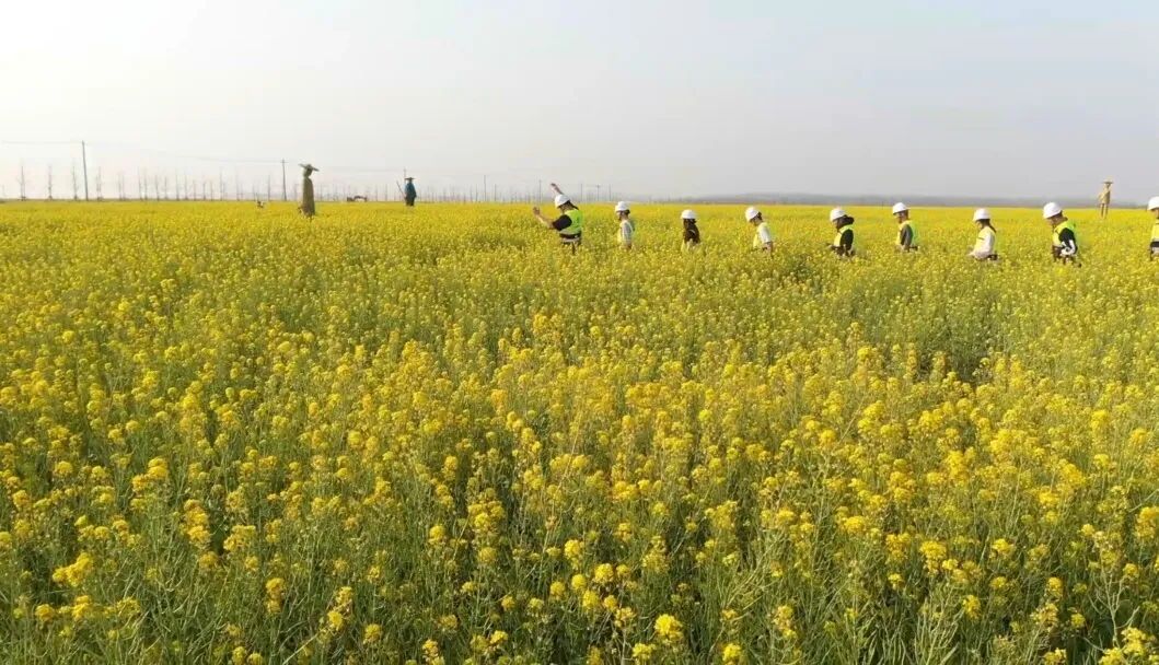 【一线写真】钢筋铁骨“酿出”温柔的春天-58