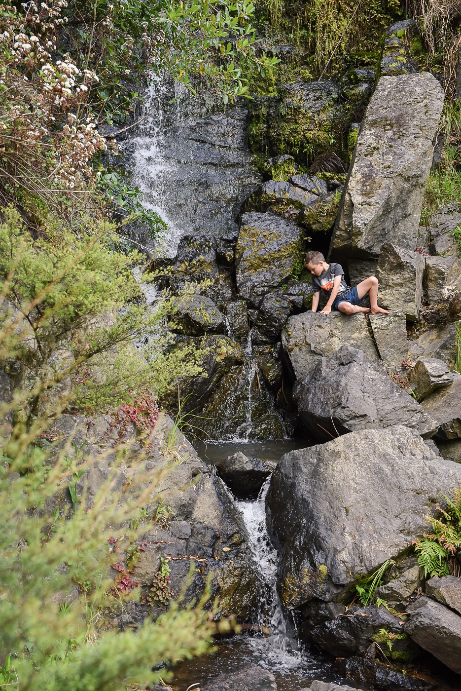 丨无相关信息-85