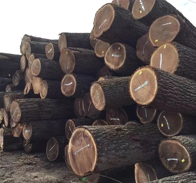 黑胡桃木的魅力 | 温润质感,自然气息-10