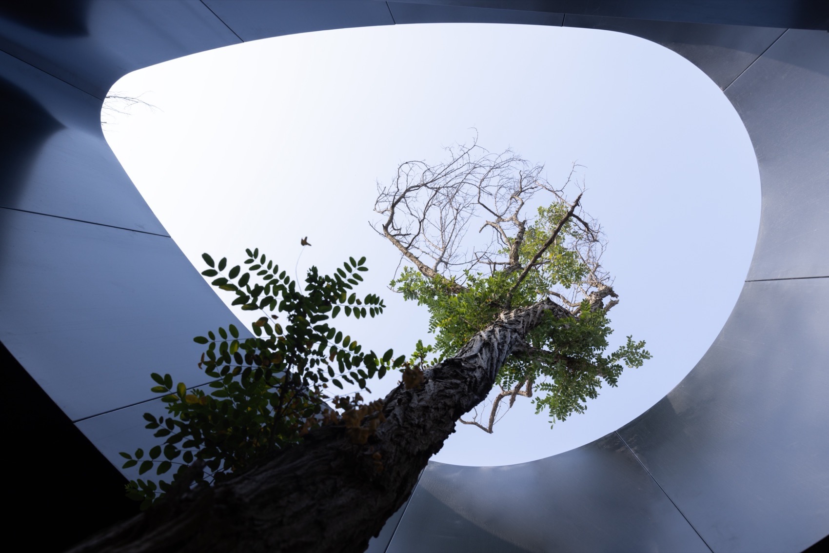 日照朝元山茶乡会客厅丨中国日照丨孔祥伟工作室-81