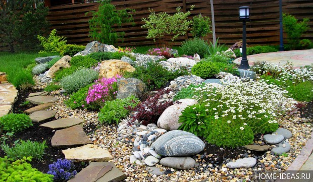 自制阿尔卑斯式假山(阿尔卑斯式花坛)-85