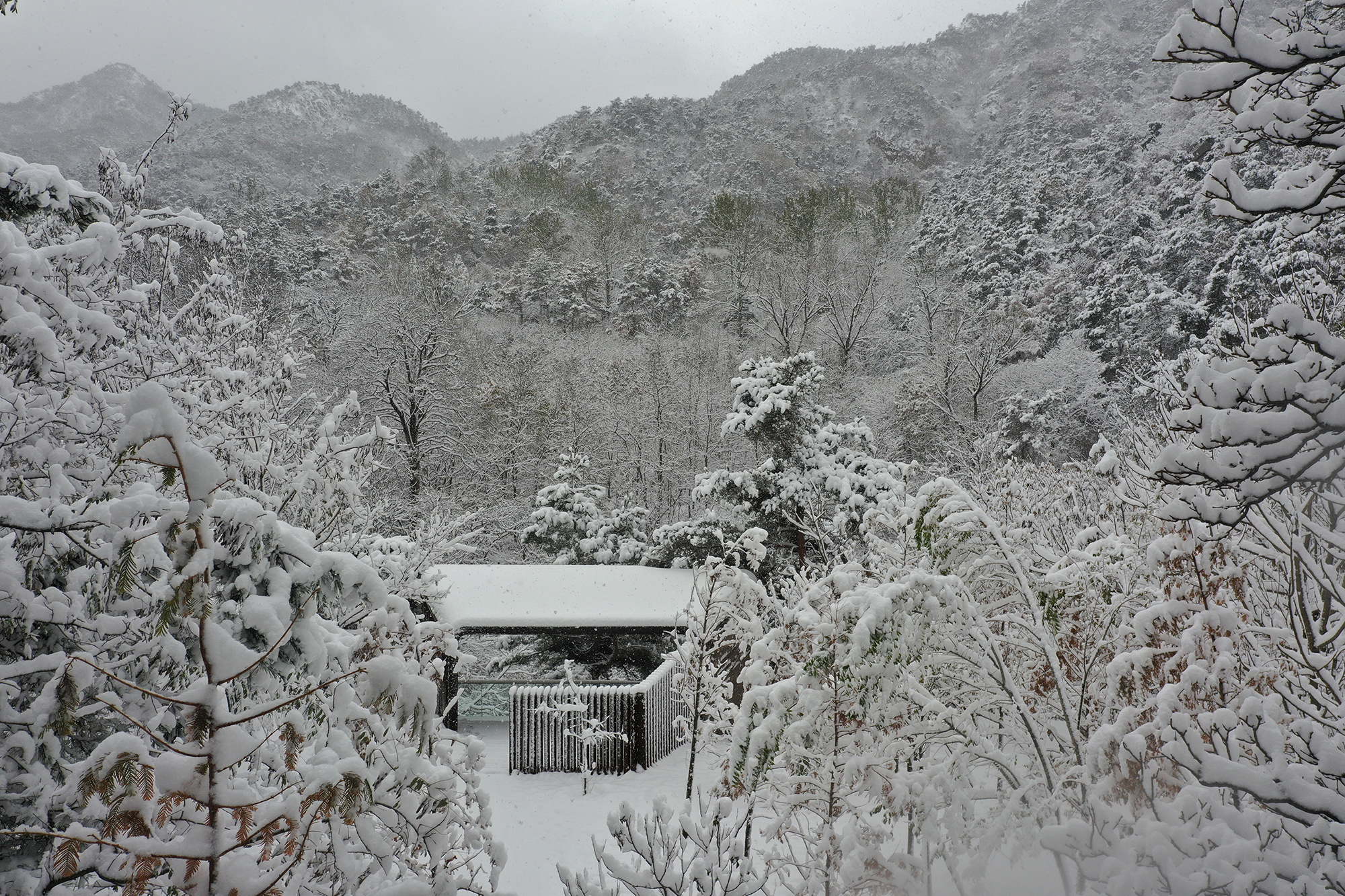 昆嵛山国家级自然保护区基础设施设计项目丨大小景观团队（Atelier Scale）-53