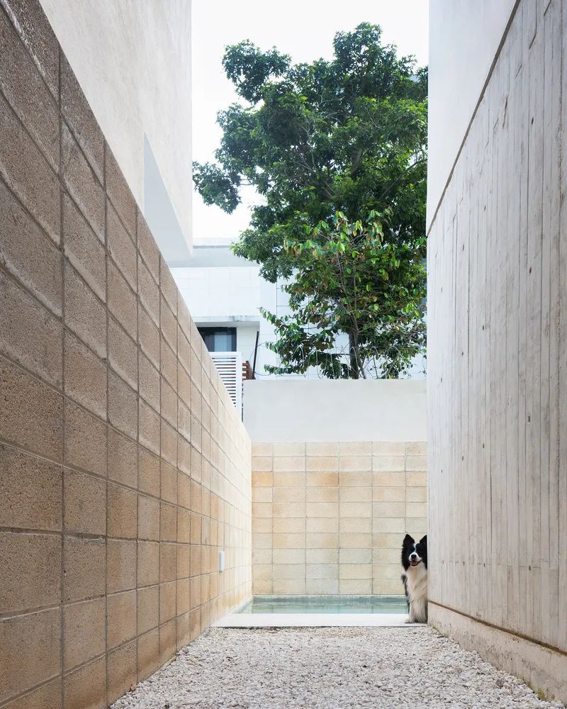 封闭与开放共生 · 五口之家住宅设计丨GGH 设计机构-21