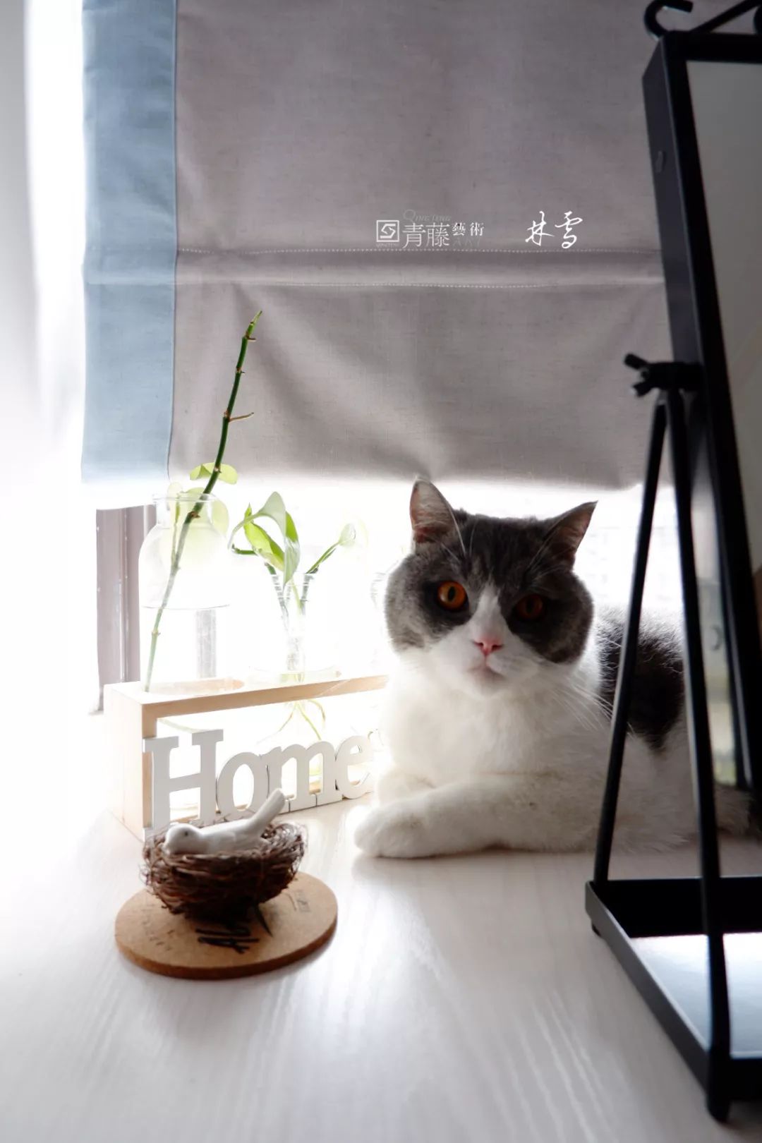 天籁福 100㎡理想家 | 林雪设计打造闺蜜聚会空间-24