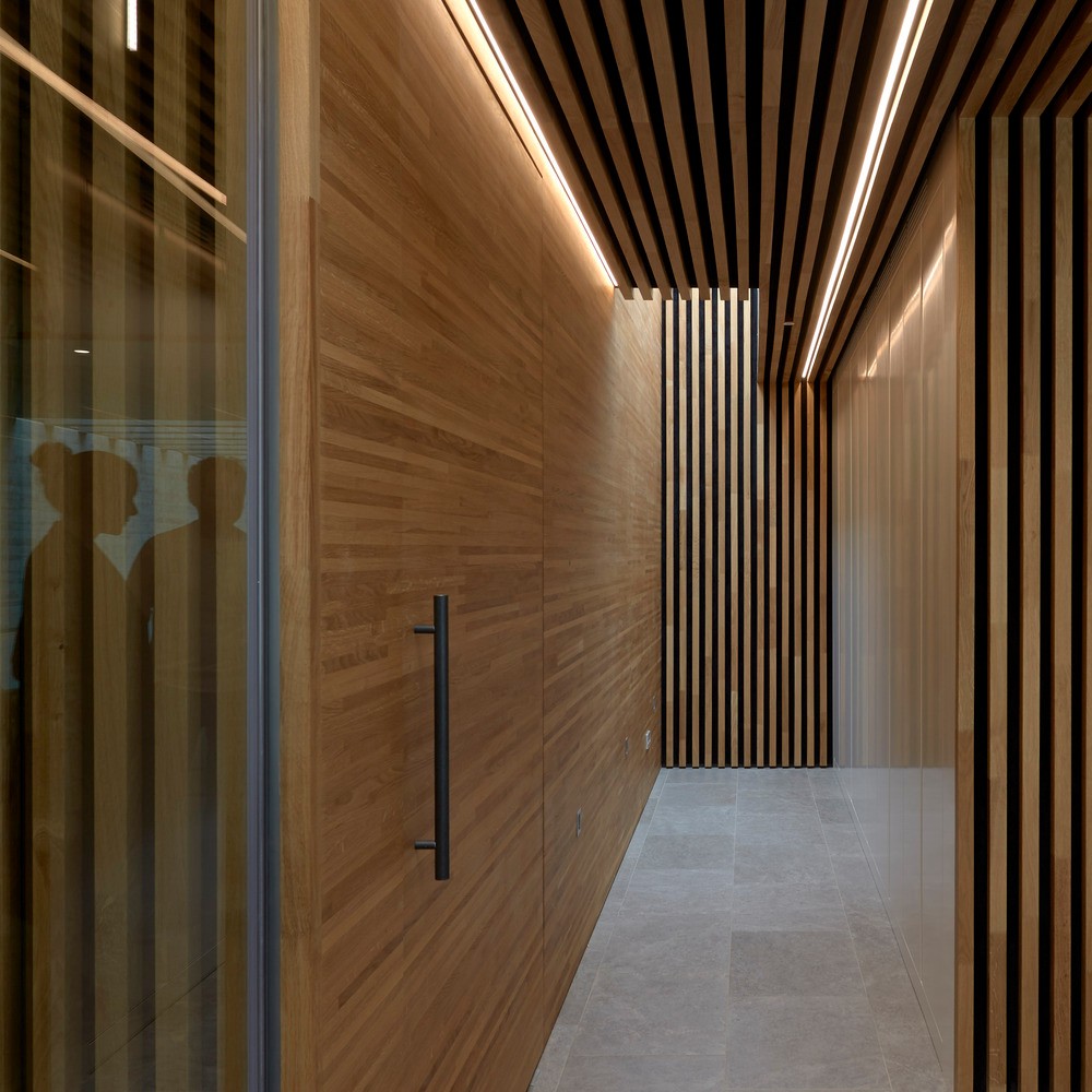 低密度住宅综合体 | 三户家庭共享公园式生活-20