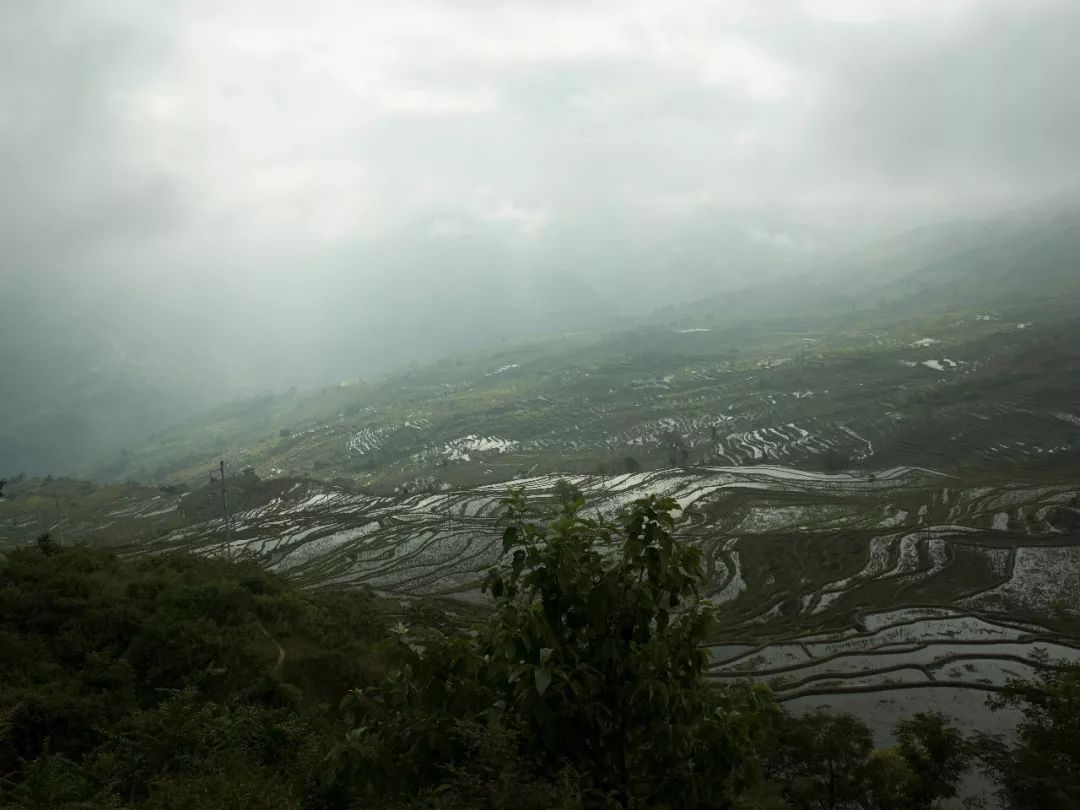 雾中苏红 | 自然、情感与时间的交融-7
