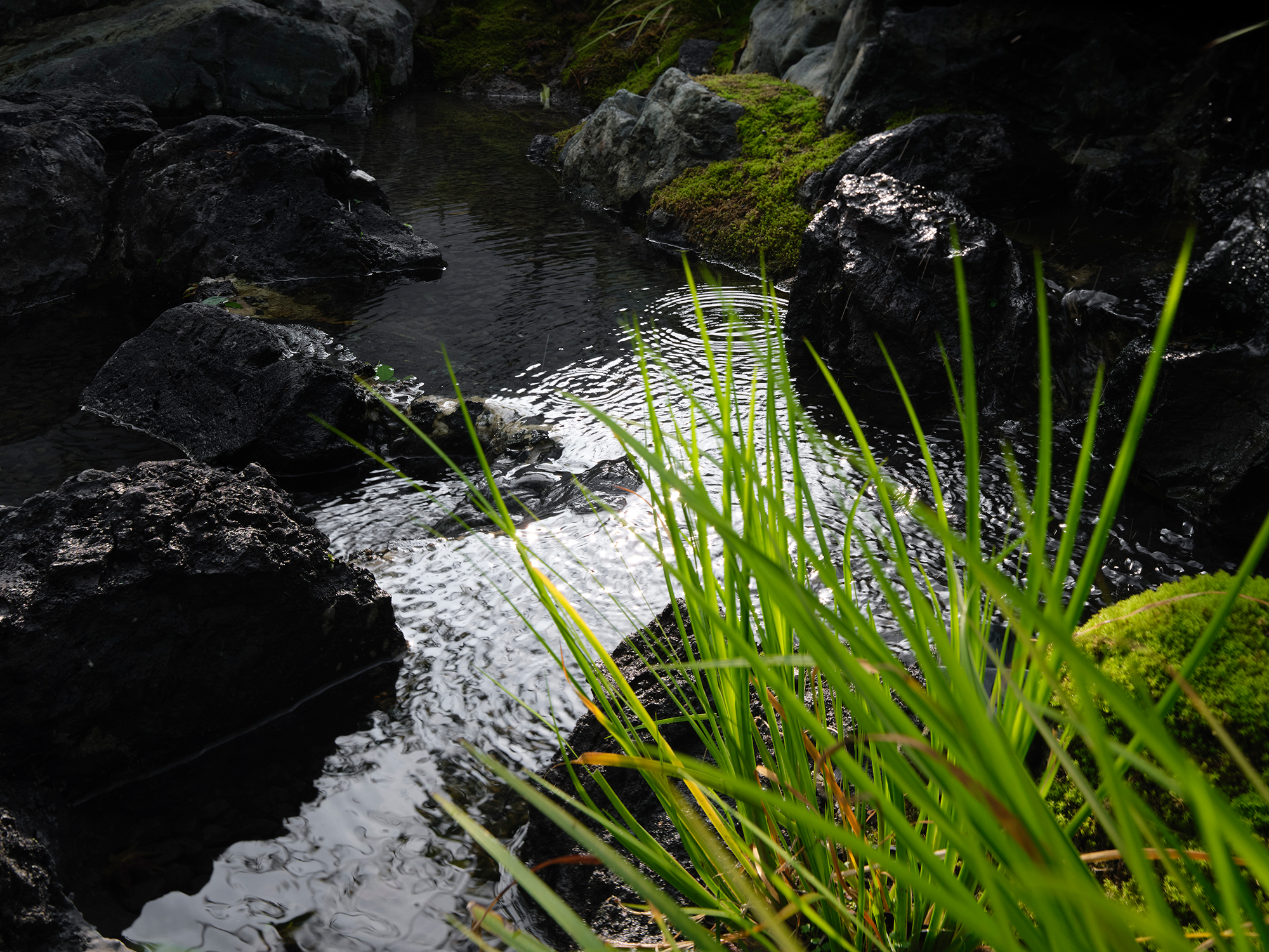 天目里·青竺茶局丨中国杭州丨山山园林（景观及室内方案）,三嘉设计（室内深化）-65