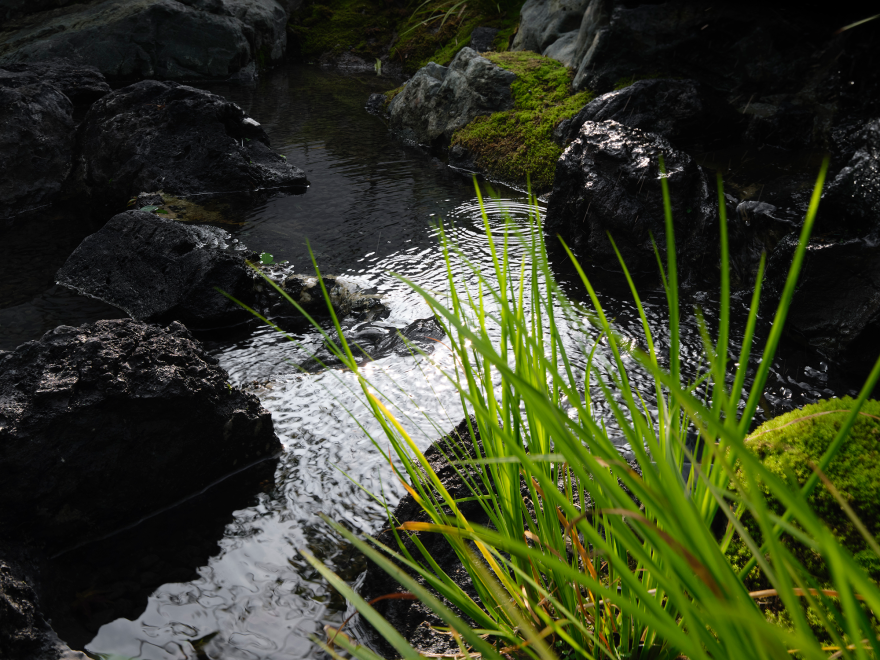 天目里·青竺茶局丨中国杭州丨山山园林(景观及室内方案),三嘉设计(室内深化)-65